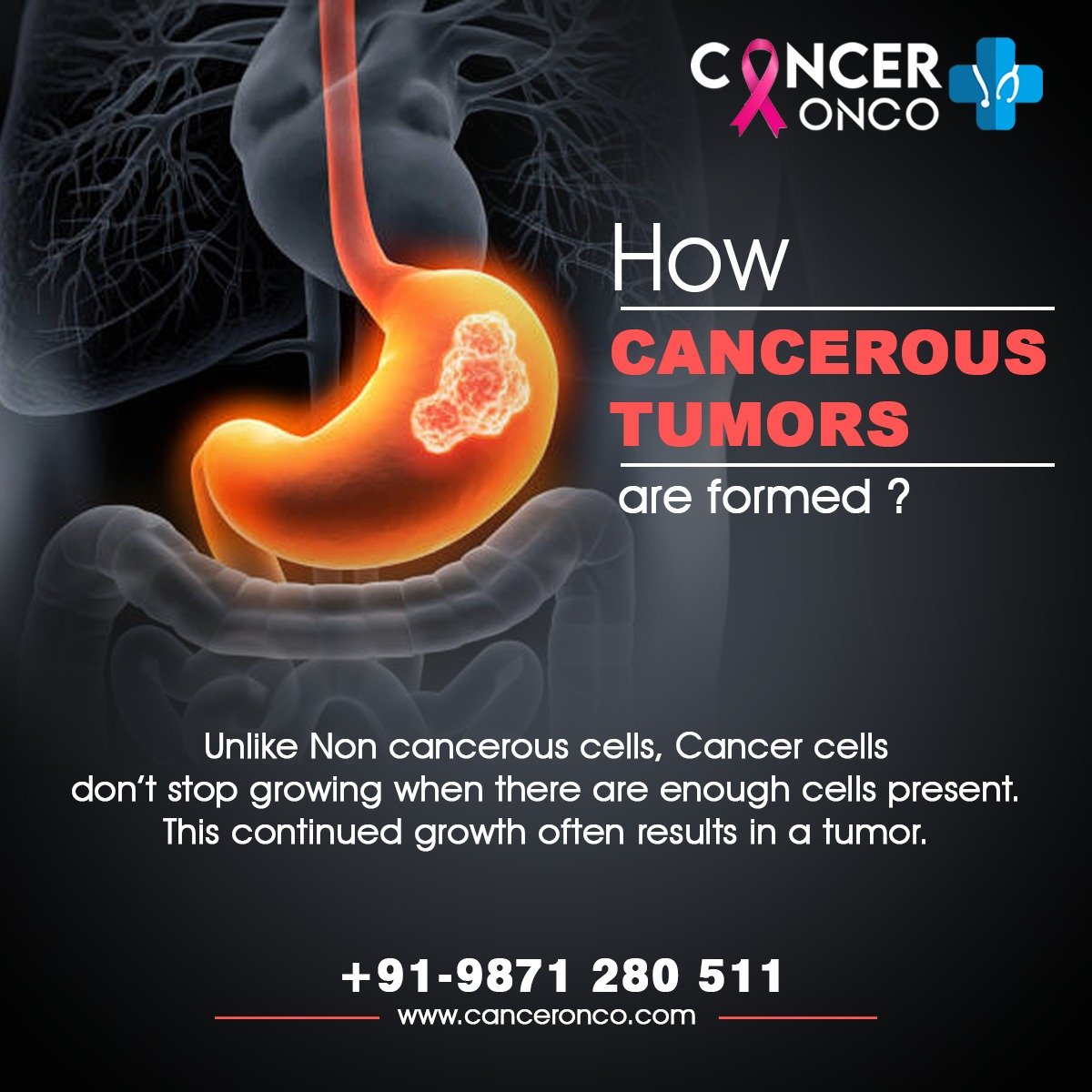 DR SAJJAN RAJPUROHIT