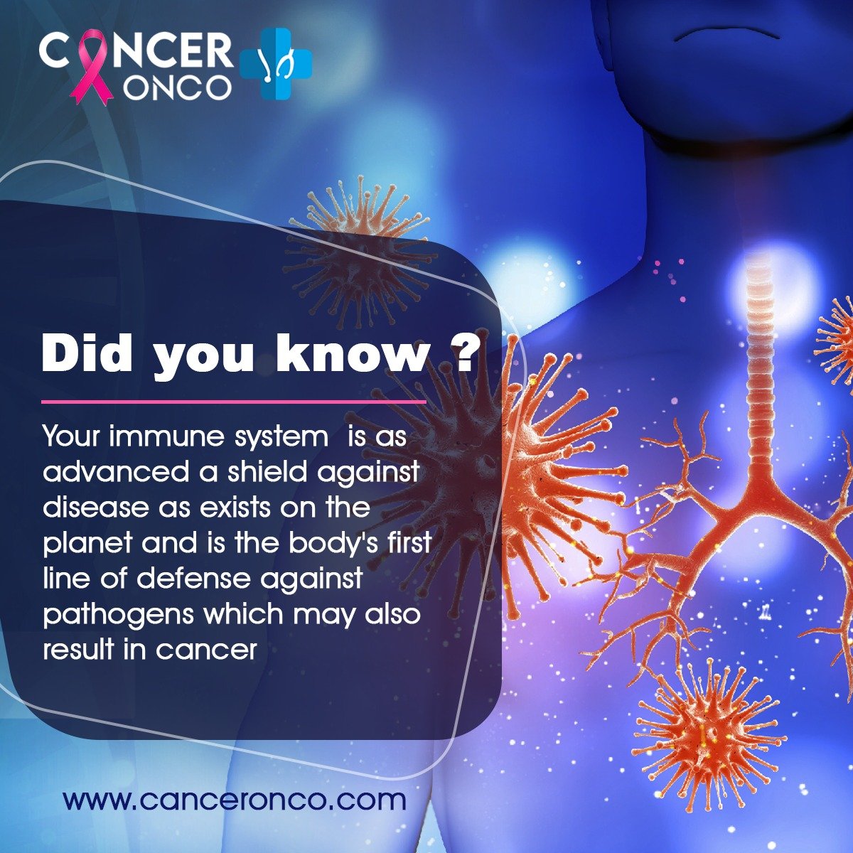 DR SAJJAN RAJPUROHIT